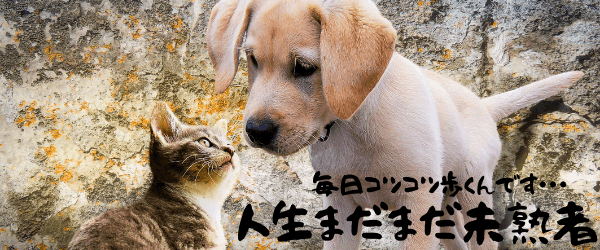 人生まだまだ未熟者 毎日コツコツ